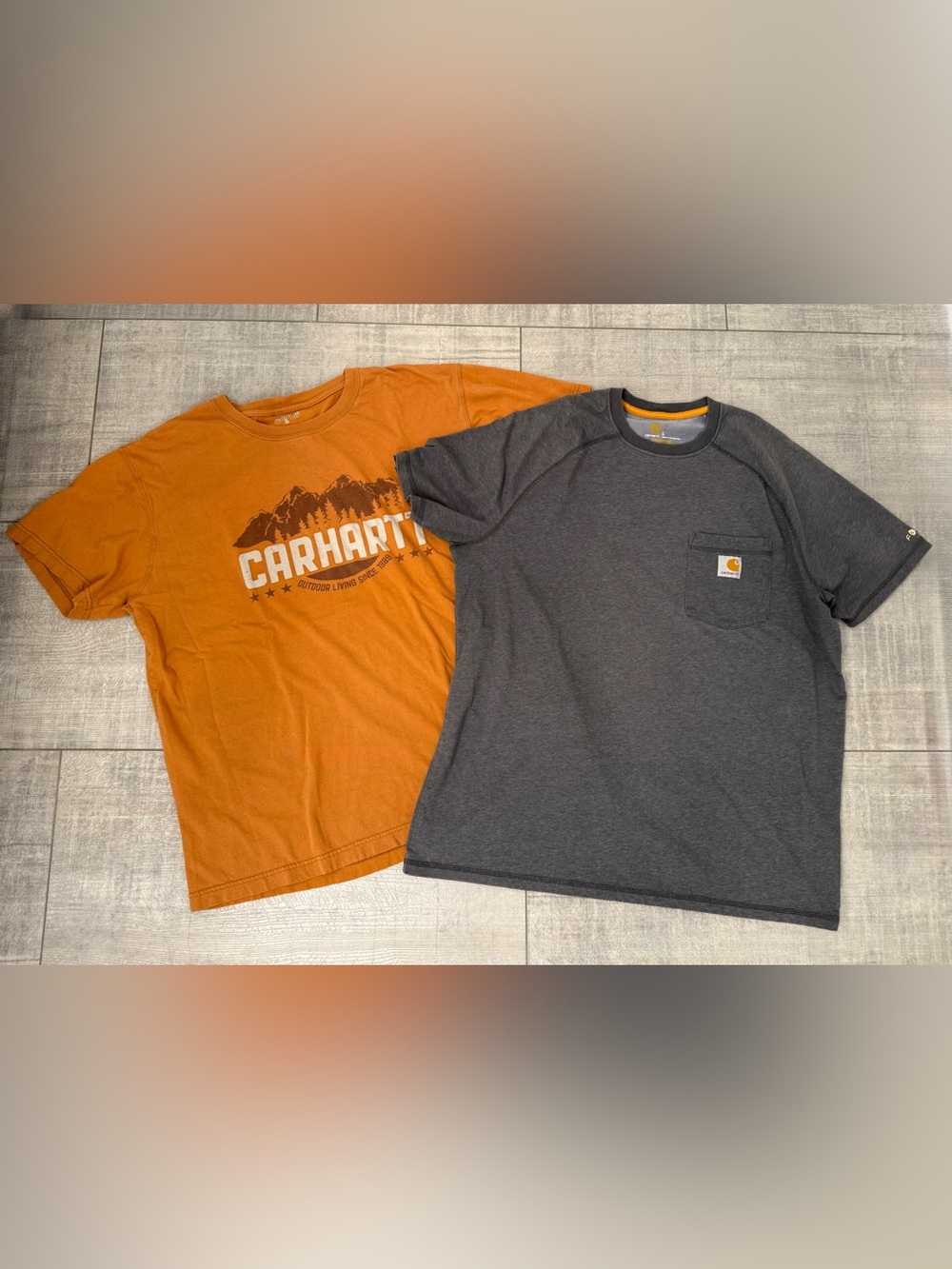Carhartt L Men’s T-Shirt Lot of 2 Graphic Tee & Pocket Loose Relaxed Workwear